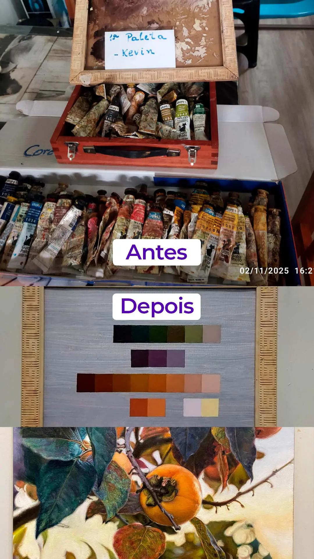 Antes e depois da paleta de Francisca