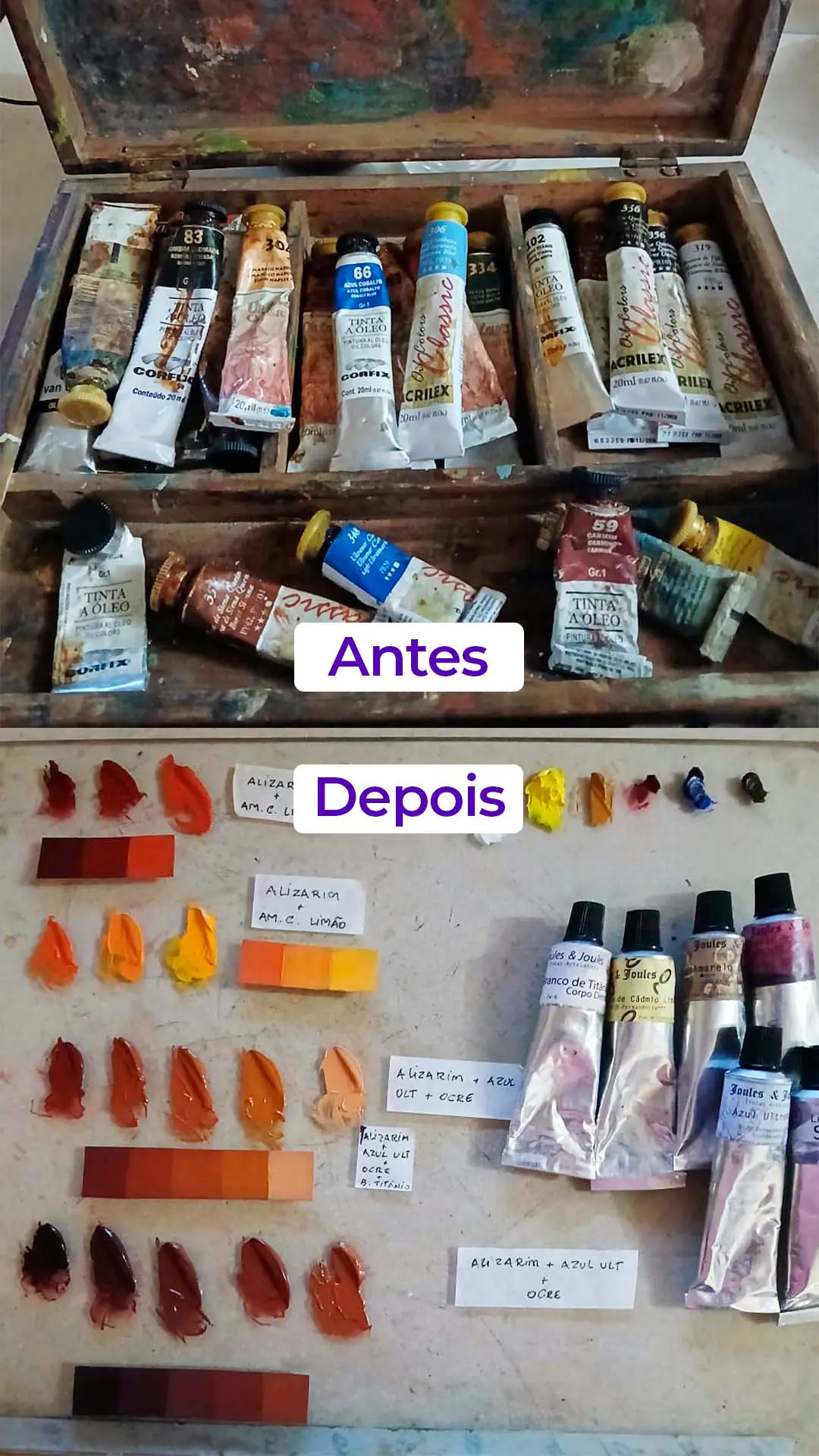 Antes e depois da paleta de Cris Amaral