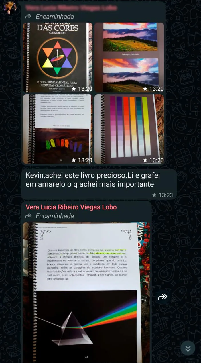 Depoimento de leitor do livro O Mago das Cores 8